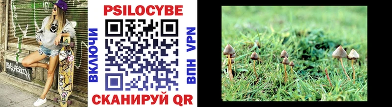 Псилоцибиновые грибы Psilocybine cubensis  Купить  Соликамск 